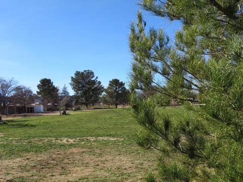 1027 Irene Cir, Pearce, AZ 85625 photo 12