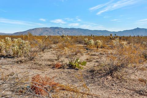 10479 E Rita Ranch Crossing Cir, Tucson, AZ 85747 photo 33