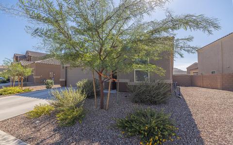 12066 E Domnitch Dr, Vail, AZ 85641 photo 3