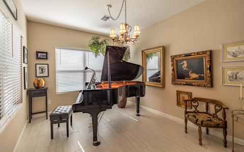 12066 E Domnitch Dr, Vail, AZ 85641 photo 15