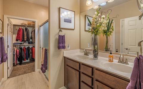 12066 E Domnitch Dr, Vail, AZ 85641 photo 17