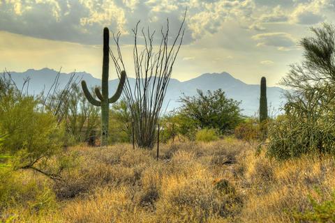 3255 E Camino Juan Paisano #48, Tucson, AZ 85718 photo 6