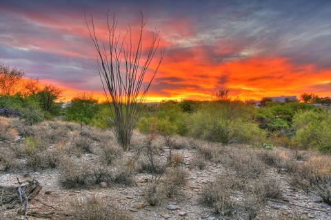3255 E Camino Juan Paisano #48, Tucson, AZ 85718 photo 7