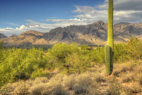 3255 E Camino Juan Paisano #48, Tucson, AZ 85718 photo 13