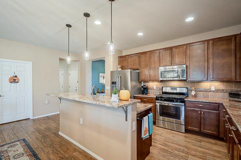 14031 E Barouche Dr, Vail, AZ 85641 photo 2