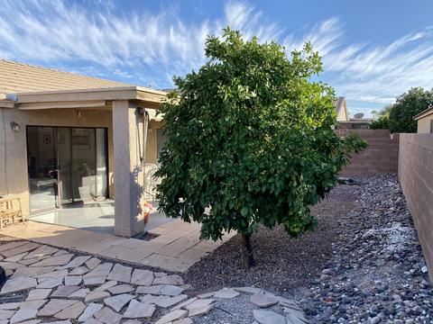 8554 S Masthead Dr, Tucson, AZ 85756 photo 10