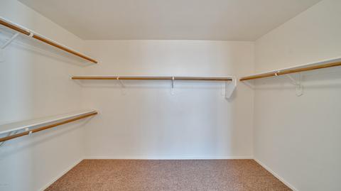 10650 E Bridgeport St, Tucson, AZ 85747 photo 19