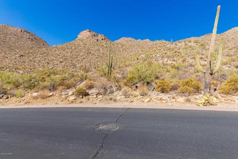 4496 W Cush Canyon Loop, Marana, AZ 85658 photo 11