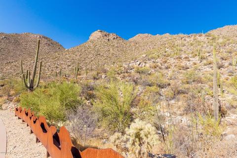 4496 W Cush Canyon Loop, Marana, AZ 85658 photo 13