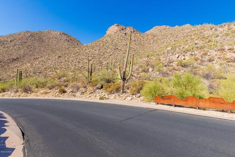 4496 W Cush Canyon Loop, Marana, AZ 85658 photo 14