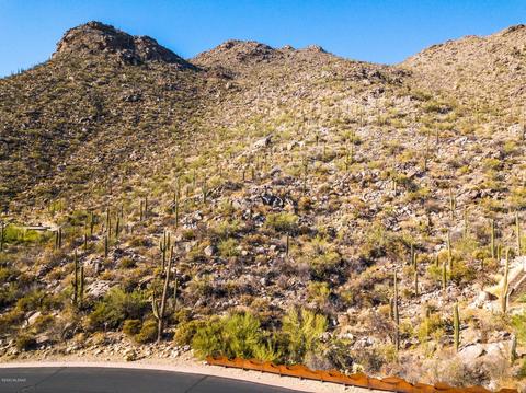 4496 W Cush Canyon Loop, Marana, AZ 85658 photo 6