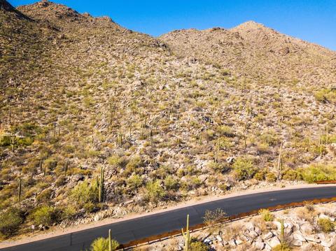 4496 W Cush Canyon Loop, Marana, AZ 85658 photo 7