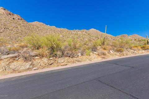 4496 W Cush Canyon Loop, Marana, AZ 85658 photo 16