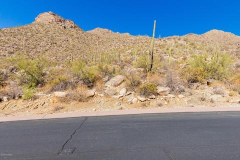 4496 W Cush Canyon Loop, Marana, AZ 85658 photo 15