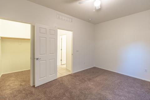 12246 E Metz Dr, Vail, AZ 85641 photo 9