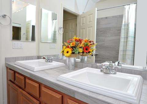 11414 E Desert Raptor Loop, Tucson, AZ 85747 photo 20