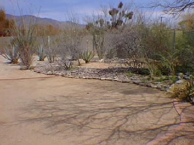416 E Burrows Pl, Tucson, AZ 85704 photo 7