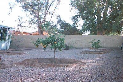 4902 E 12th St, Tucson, AZ 85711 photo 3