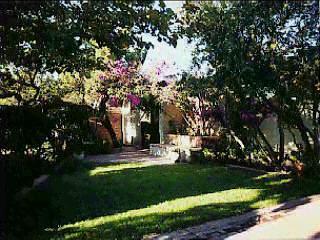 203 E Suffolk Dr, Tucson, AZ 85704 photo 3