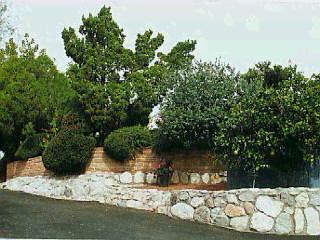 203 E Suffolk Dr, Tucson, AZ 85704 photo 8