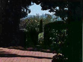 203 E Suffolk Dr, Tucson, AZ 85704 photo 6