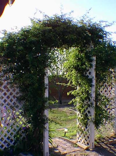 234 E Burrows St, Tucson, AZ 85704 photo 7