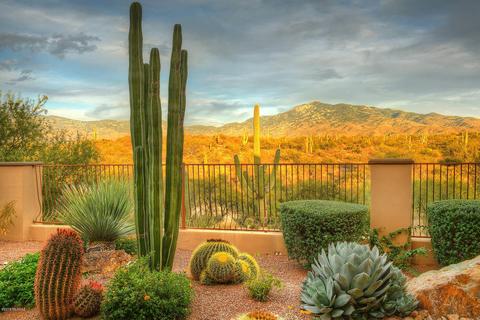 15656 E Tumbling Q Ranch Pl, Vail, AZ 85641 photo 31
