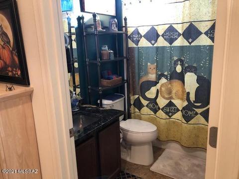13761 E Weiers St, Vail, AZ 85641 photo 19