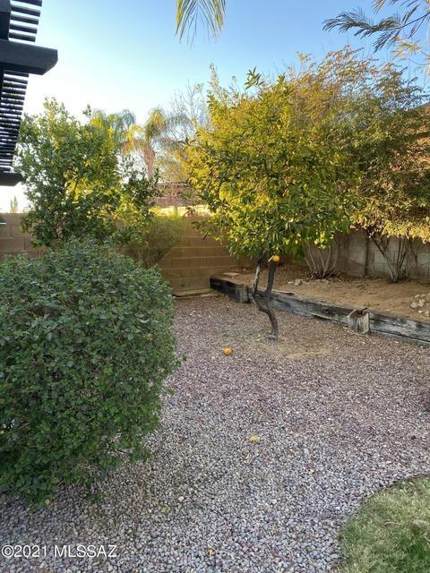 8249 N Equator Loop, Tucson, AZ 85741 photo 19