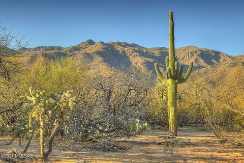 11600 E Thunderbird Trl, Tucson, AZ 85749 photo 41