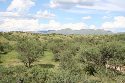 Undisclosed, Nogales, AZ 85621