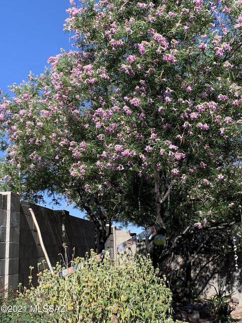 10432 E Port Townsend St, Tucson, AZ 85747 photo 34