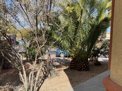10432 E Port Townsend St, Tucson, AZ 85747 photo 6