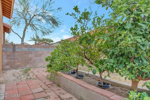 9203 Elderberry St, Tucson, AZ 85747 photo 29