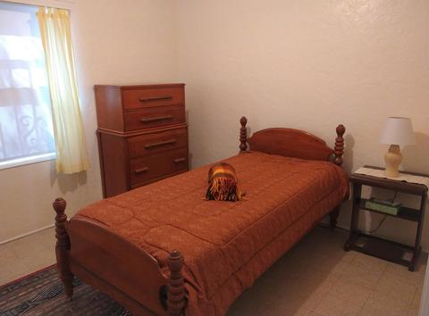 2021 E 10th St, Tucson, AZ 85719 photo 6