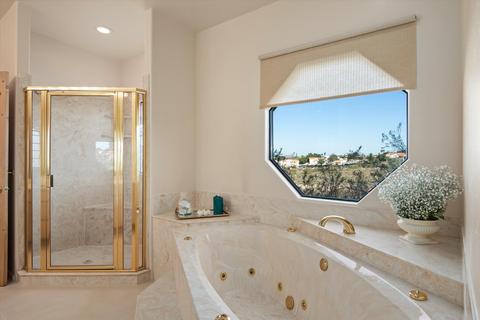30 W Stone Loop, Tucson, AZ 85704 photo 20
