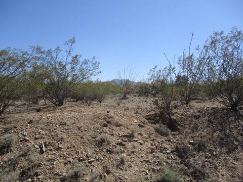 3040 E Darlene Dr, Vail, AZ 85641 photo 7