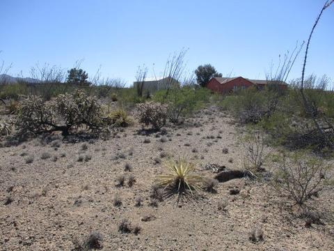 3040 E Darlene Dr, Vail, AZ 85641 photo 9