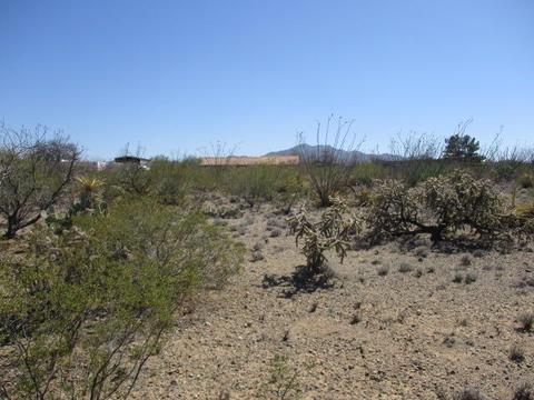 3040 E Darlene Dr, Vail, AZ 85641 photo 8