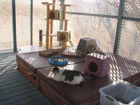 1172 E Morris Ln, Benson, AZ 85602 photo 21