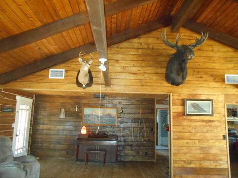 4477 N Cascabel Rd, Benson, AZ 85602 photo 13