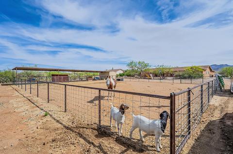 2991 E Cardenas Dr, Vail, AZ 85641 photo 45