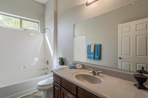 734 E Blue Mesa Pl, Vail, AZ 85641 photo 16
