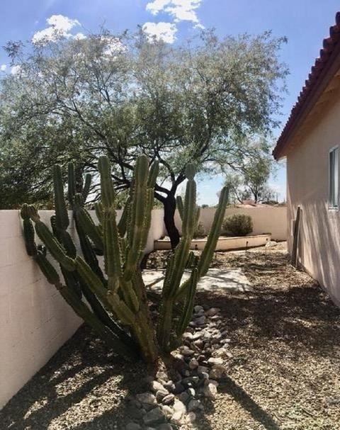 501 E Wagon Bluff Dr, Tucson, AZ 85704 photo 5