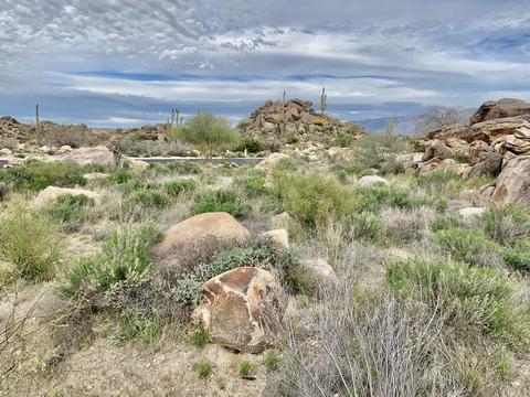 14762 N Strong Stone Dr #302, Tucson, AZ 85755
