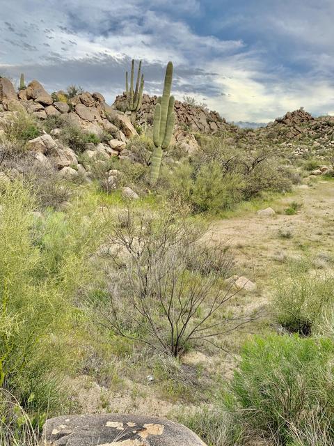 863 W Granite Gorge Dr #328, Oro Valley, AZ 85755