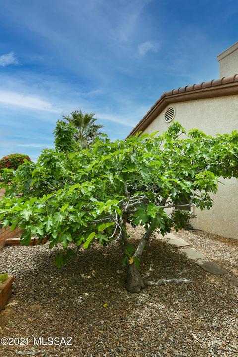 1092 E Ashbrook Dr, Oro Valley, AZ 85755 photo 40