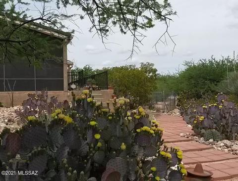 2705 W Ringtail Rd, Saint David, AZ 85630 photo 24