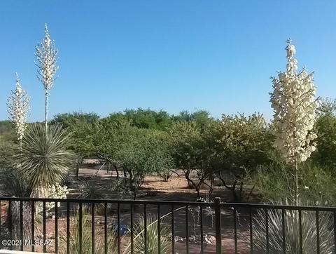 2705 W Ringtail Rd, Saint David, AZ 85630 photo 34