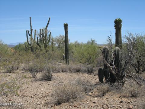 W Silver Flower Place, Tucson, AZ 85735